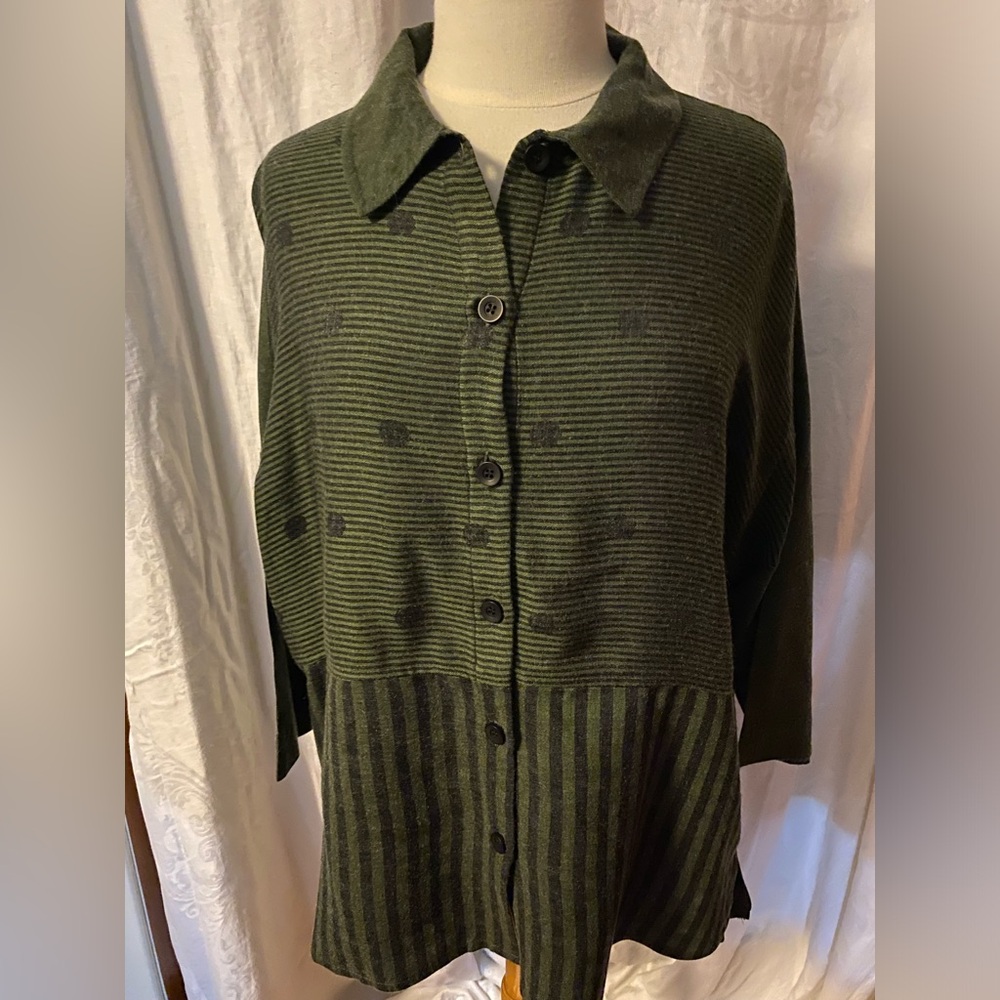 Sassy brand winter tunic blouse.